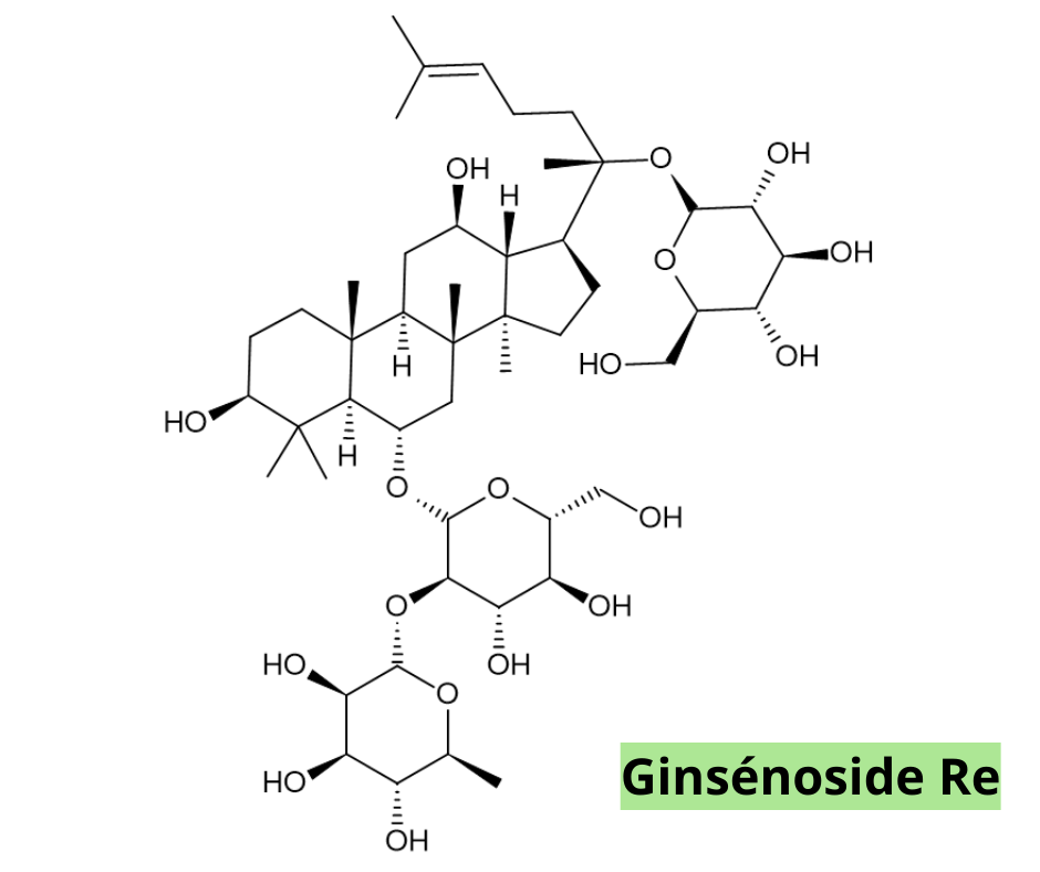 schema moleculaire de la Ginsenoside principe actif du ginseng rouge coreen